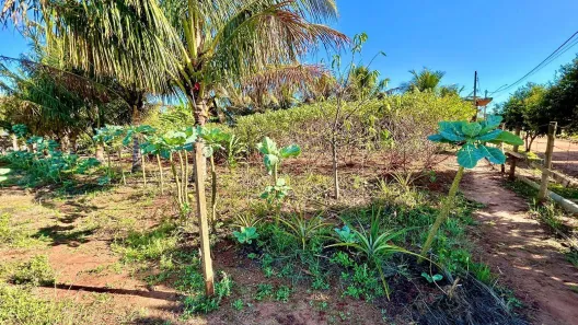 Lote/Terreno à venda, 1050m² no Jardim Olaria (Potunduva), Jaú