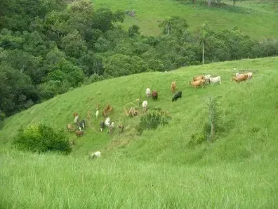 Fazenda/Sítio à venda, 640000m² no Aratinguaúba, Imaruí