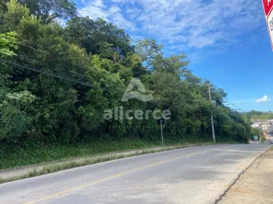 Lote/Terreno à venda, 3643m² no Forquilhas, São José