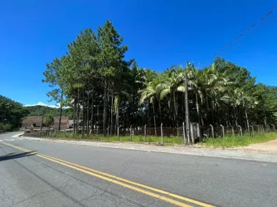 à venda, 14730m² no Benedito Novo, Benedito Novo