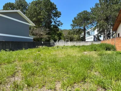 Lote/Terreno à venda, 458m² no Campeche, Florianópolis