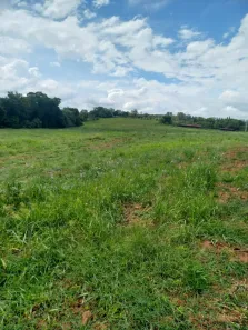 Fazenda/Sítio com 1 Quarto à venda, 48400m² no , Cesário Lange