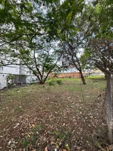 Lote/Terreno para alugar, 1037m² no Castelo, Belo Horizonte