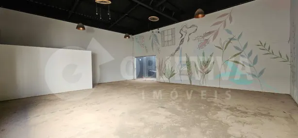 Imóvel Comercial com 1 Quarto para alugar, 500m² no Lídice, Uberlândia