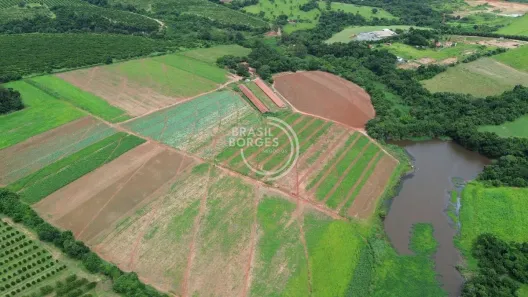 Fazenda/Sítio com 3 Quartos à venda, 300000m² no , Porto Feliz