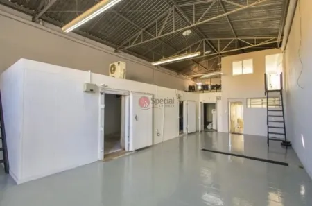 Galpão/Depósito/Armazém para alugar, 250m² no Vila Marieta, São Paulo