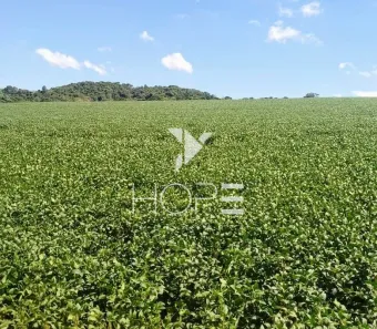 Fazenda/Sítio com 1 Quarto à venda, 5154600m² no Tomazina, Tomazina