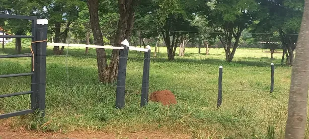 Fazenda/Sítio à venda, 20000m² no Zona Rural, Paraopeba