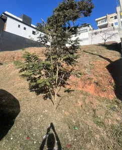 Lote/Terreno à venda, 300m² no Parque Residencial Itapeti, Mogi das Cruzes
