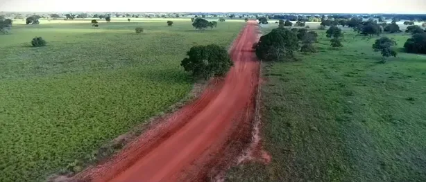 Fazenda/Sítio com 7 Quartos à venda, 13977m² no , Cocalinho