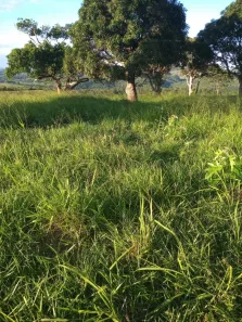 Lote/Terreno à venda, 154m² no , Itabaiana