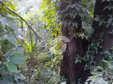 Lote/Terreno à venda, 735m² no Engenho do Mato, Niterói