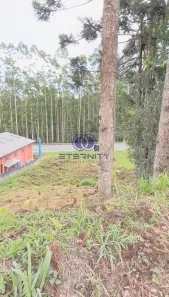 Ponto Comercial à venda, 1500m² no Colonial, São Bento do Sul