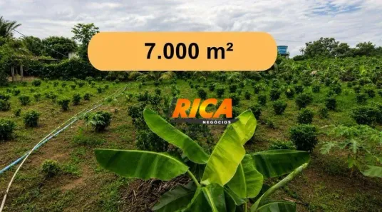 Fazenda/Sítio com 2 Quartos à venda, 7000m² no Candeias do Jamari, Candeias do Jamari