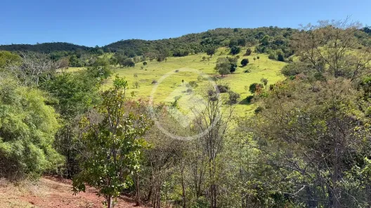 Fazenda/Sítio com 3 Quartos à venda, 315m² no São João, Goiás