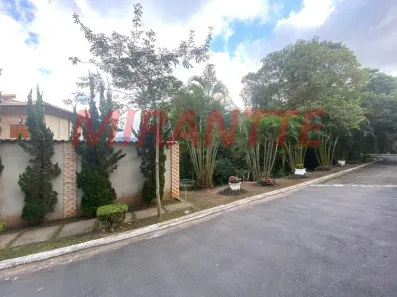 Lote/Terreno à venda, 257m² no Jardim Virginia Bianca, São Paulo