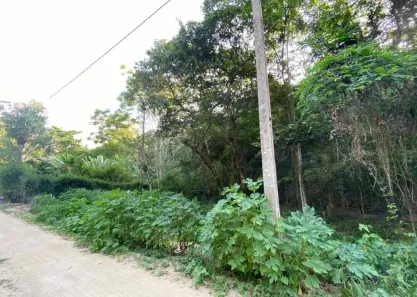 Fazenda/Sítio à venda, 10000m² no , Guaramiranga