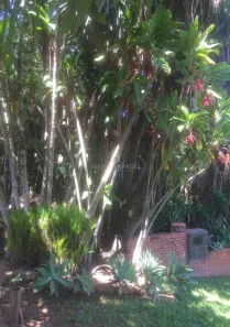Lote/Terreno à venda, 2650m² no Jardim Isabel, Porto Alegre