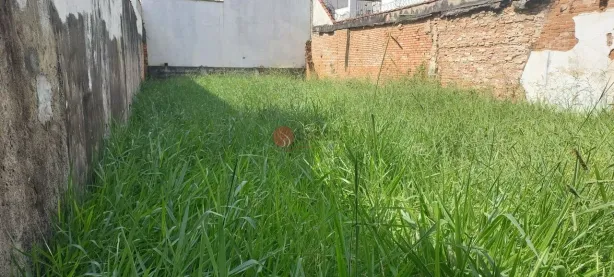 Lote/Terreno à venda, 184m² no Vila Gomes Cardim, São Paulo