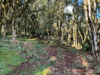 Lote/Terreno à venda, 665m² no Caracol, Canela