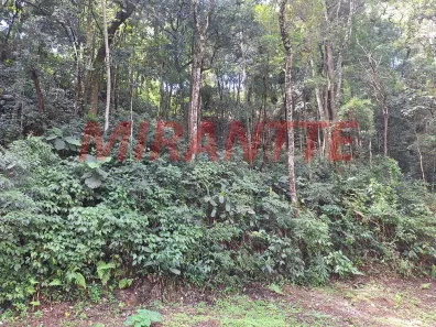 Lote/Terreno à venda, 1063m² no Caraguatá, Mairiporã