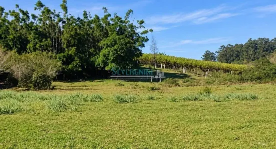 Lote/Terreno à venda, 1250m² no Itacolomi, Gravataí