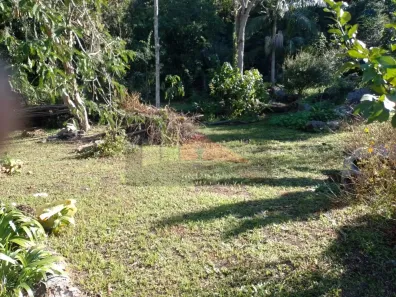 Lote/Terreno à venda, 5000m² no Ratones, Florianópolis
