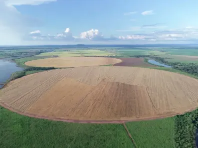 Fazenda/Sítio com 5 Quartos à venda, 11829m² no , Jaraguá