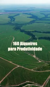 Fazenda/Sítio com 1 Quarto à venda, 3872000m² no , Porto Feliz