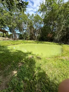 Fazenda/Sítio com 2 Quartos à venda, 5000m² no , Hidrolândia