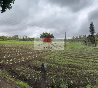 Lote/Terreno à venda, 37000m² no Jardim Jóia, Arujá