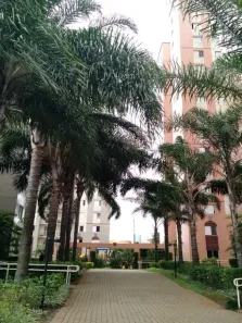 Apartamento com 3 Quartos à venda, 65m² no Cambuci, São Paulo
