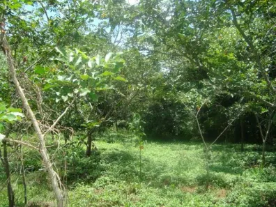 Lote/Terreno à venda, 17700m² no Bairro da Ponte, Itatiba
