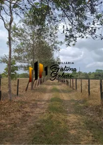 Fazenda/Sítio à venda, 2450000m² no , Vigia