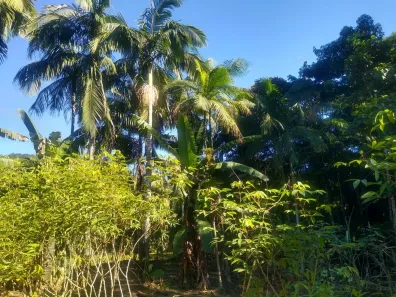 Lote/Terreno à venda, 2000m² no , Morretes