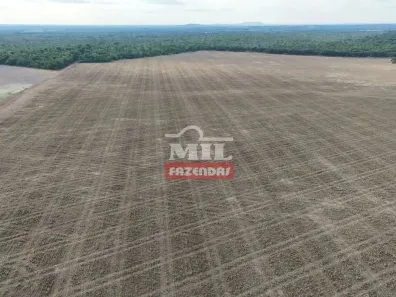Fazenda/Sítio à venda, 500m² no , Santa Rita do Tocantins