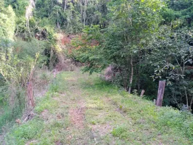 Fazenda/Sítio à venda, 217800m² no Zona Rural, Campo Magro