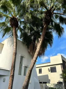 Casa com 4 Quartos à venda, 342m² no Alphaville Residencial Dois, Barueri