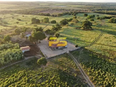 Fazenda/Sítio à venda, 670000m² no , Pedro Régis