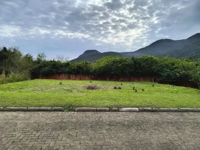 Lote/Terreno à venda, 403m² no Pântano do Sul, Florianópolis