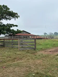 Fazenda/Sítio com 2 Quartos à venda, 166980m² no Ecatú, Tanabi