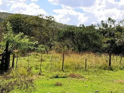 Fazenda/Sítio com 3 Quartos à venda, 300m² no Santana de Pirapama, Santana de Pirapama