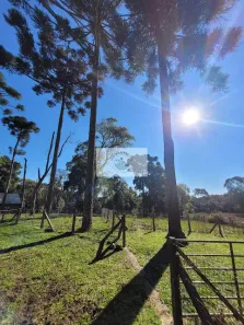 Lote/Terreno à venda, 3215m² no , Campo Alegre