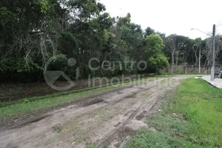 Lote/Terreno à venda, 350m² no Jardim Sao Luis, Peruíbe