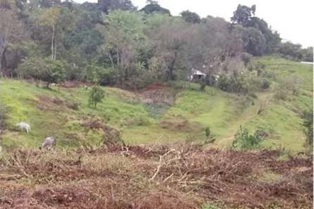 Fazenda/Sítio à venda, 833m² no Salobrinho, Ilhéus