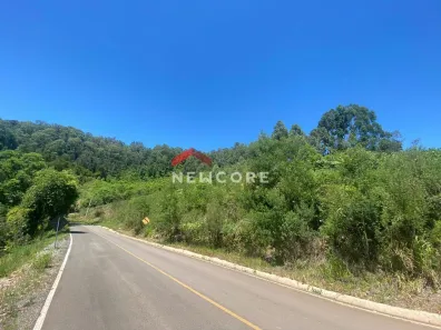 Fazenda/Sítio com 1 Quarto à venda, 70000m² no Linha Ávila Baixa, Gramado