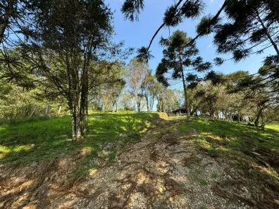 Fazenda/Sítio à venda, 7085m² no , Carlos Barbosa