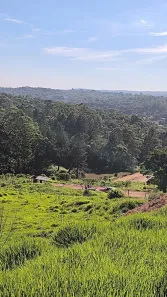 Lote/Terreno à venda, 1630m² no Curral, Ibiúna