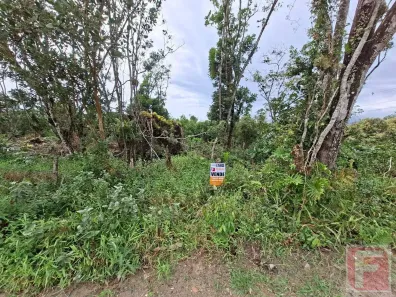 Lote/Terreno à venda, 409m² no Maresia, Itapoá