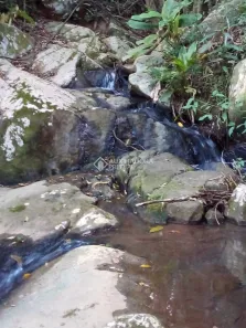 Fazenda/Sítio à venda, 50m² no Rio Duna, Imaruí
